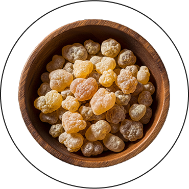 Boswellia papyrifera